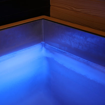 Revive Luxury Plunge in use