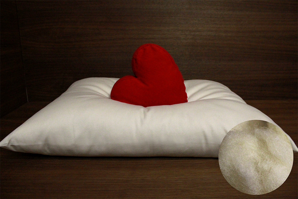 Soaring Heart Organic Wool Pillow